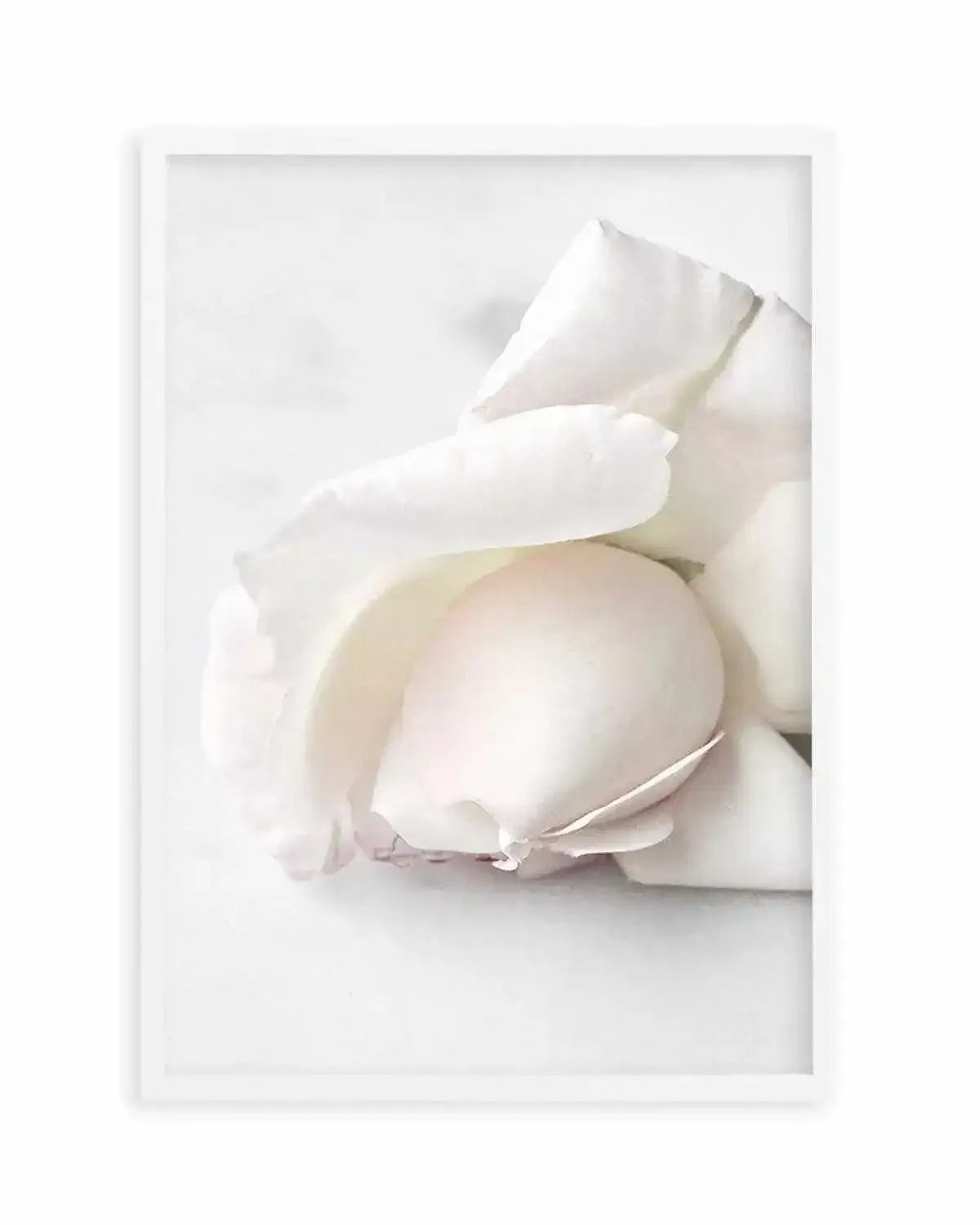 The First Rose Art Print from Olive et Oriel where you can shop wallpaper and artworks online