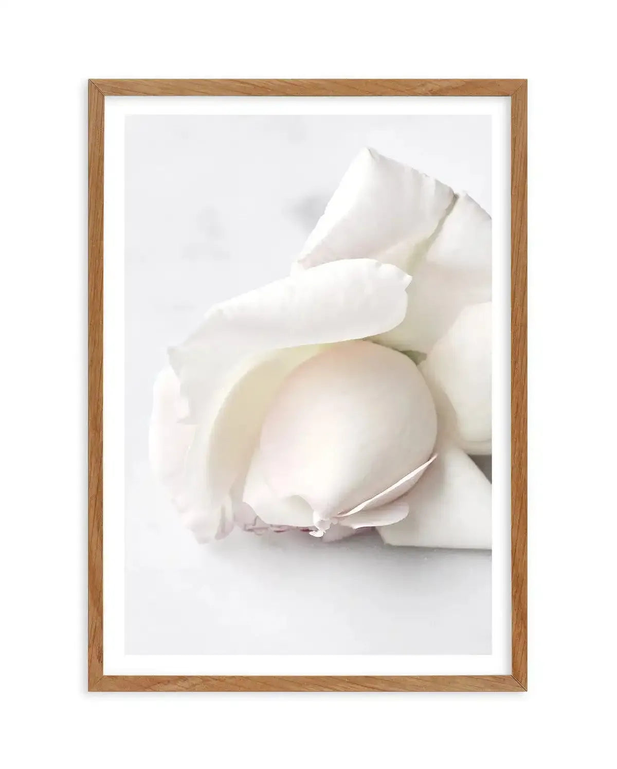 The First Rose Art Print-PRINT-Olive et Oriel-Olive et Oriel-50x70 cm | 19.6" x 27.5"-Walnut-With White Border-Buy-Australian-Art-Prints-Online-with-Olive-et-Oriel-Your-Artwork-Specialists-Austrailia-Decorate-With-Coastal-Photo-Wall-Art-Prints-From-Our-Beach-House-Artwork-Collection-Fine-Poster-and-Framed-Artwork