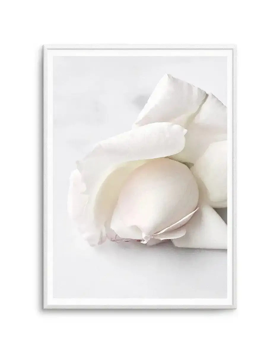The First Rose Art Print-PRINT-Olive et Oriel-Olive et Oriel-A5 | 5.8" x 8.3" | 14.8 x 21cm-Unframed Art Print-With White Border-Buy-Australian-Art-Prints-Online-with-Olive-et-Oriel-Your-Artwork-Specialists-Austrailia-Decorate-With-Coastal-Photo-Wall-Art-Prints-From-Our-Beach-House-Artwork-Collection-Fine-Poster-and-Framed-Artwork
