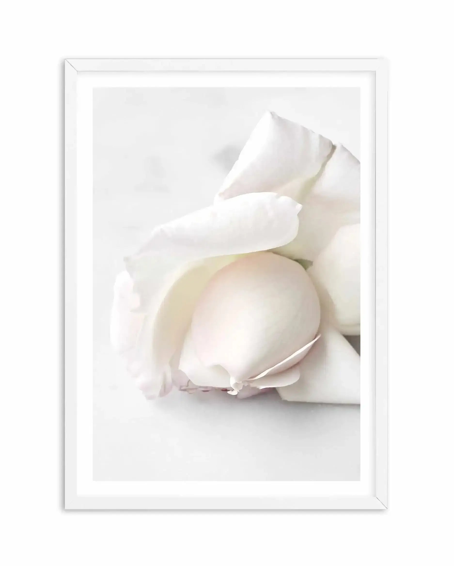 The First Rose Art Print-PRINT-Olive et Oriel-Olive et Oriel-A5 | 5.8" x 8.3" | 14.8 x 21cm-White-With White Border-Buy-Australian-Art-Prints-Online-with-Olive-et-Oriel-Your-Artwork-Specialists-Austrailia-Decorate-With-Coastal-Photo-Wall-Art-Prints-From-Our-Beach-House-Artwork-Collection-Fine-Poster-and-Framed-Artwork