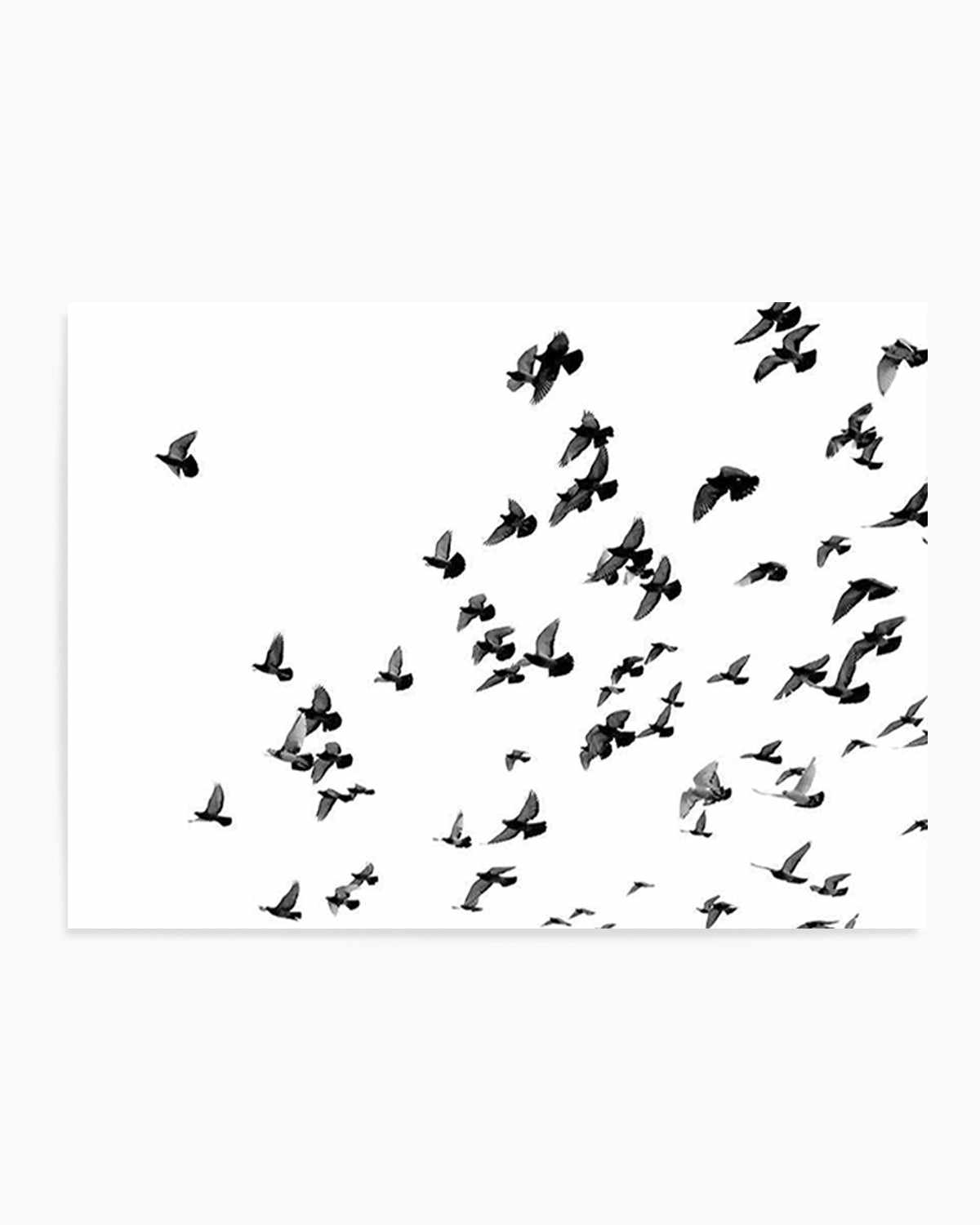 The Flight | LS Art Print