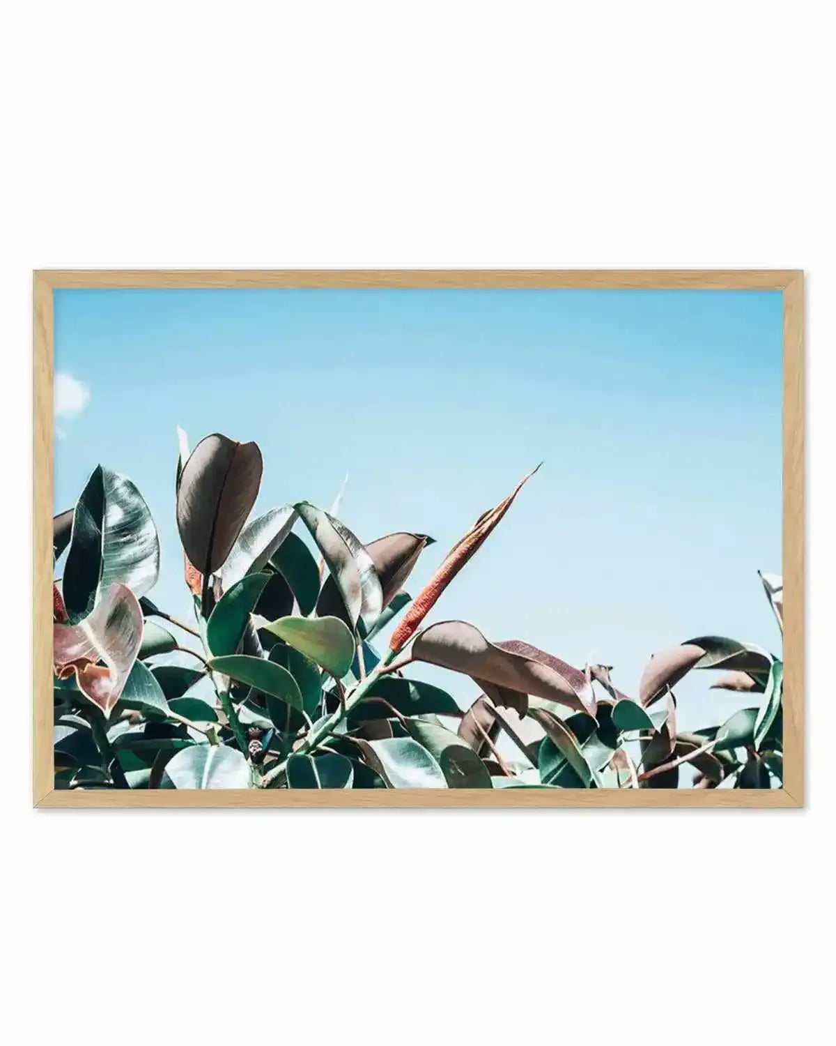 The Other Fig Art Print from Olive et Oriel where you can shop wallpaper and artworks online