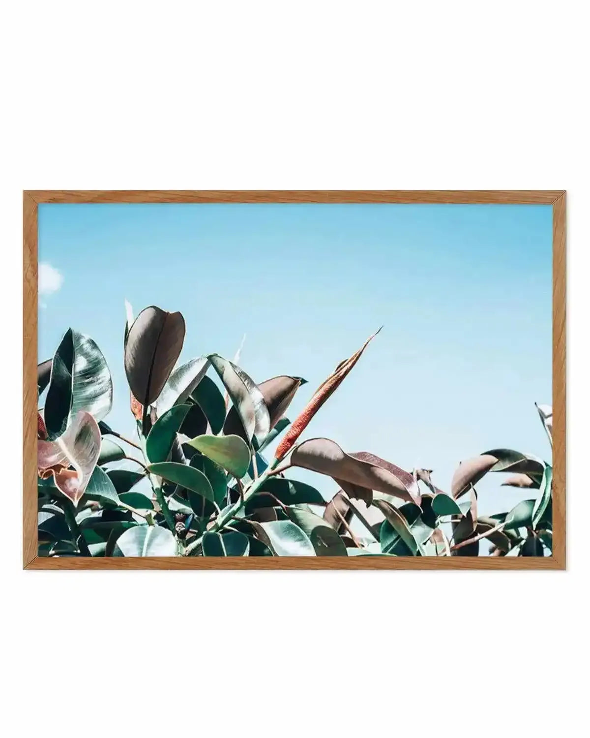 The Other Fig Art Print from Olive et Oriel where you can shop wallpaper and artworks online
