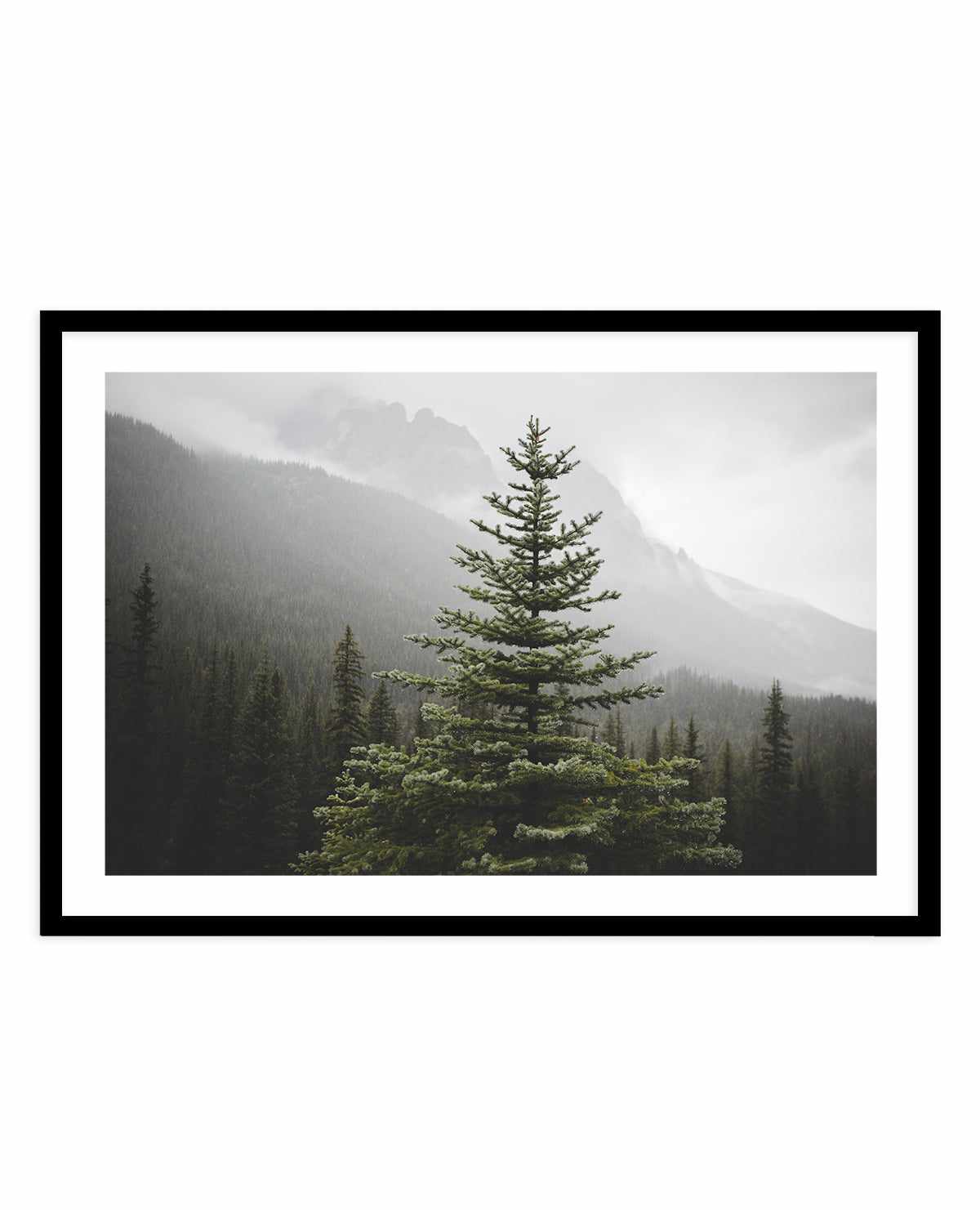 The Pine by Kalen X | Art Print