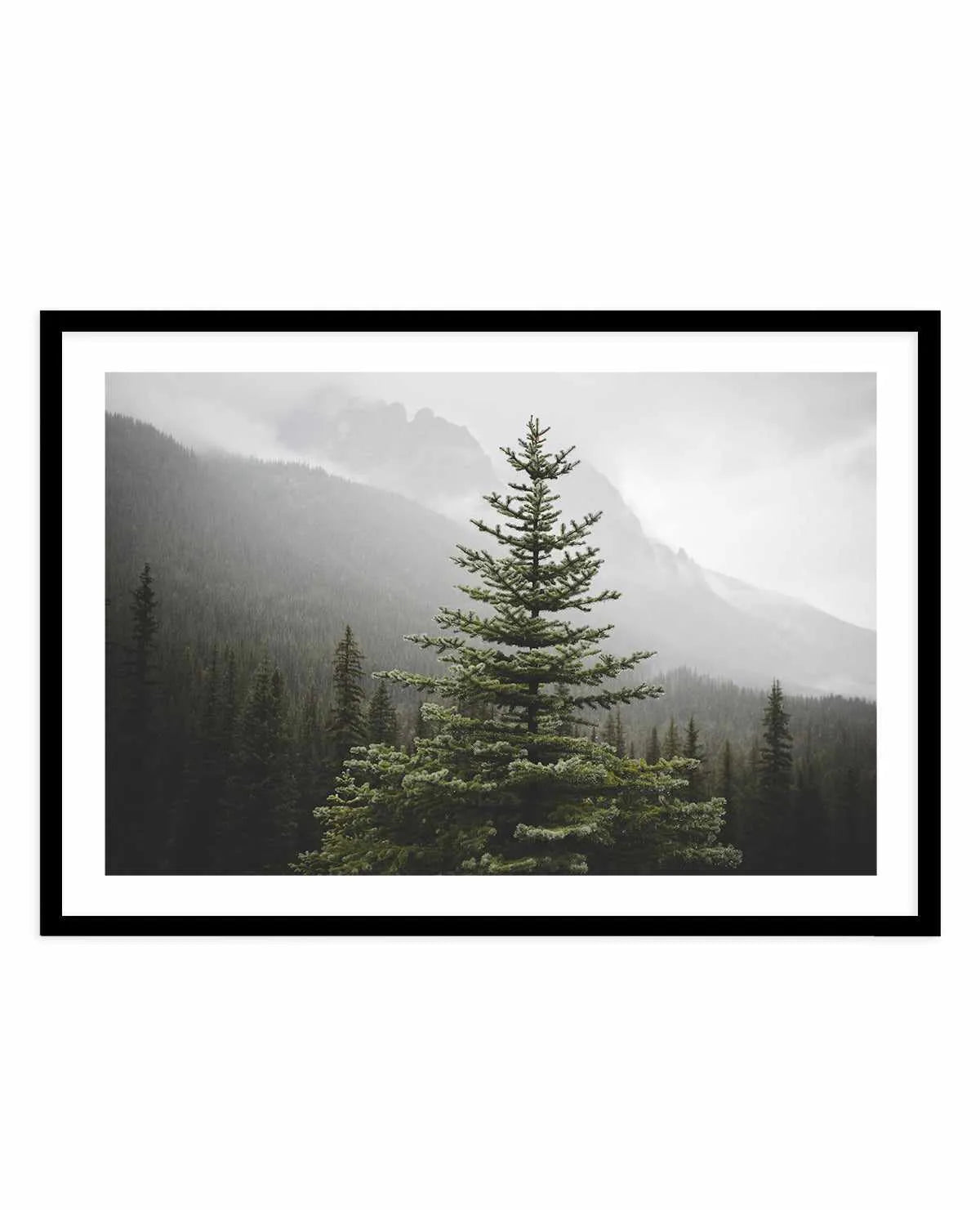 The Pine by Kalen X | Art Print from Olive et Oriel where you can shop wallpaper and artworks online