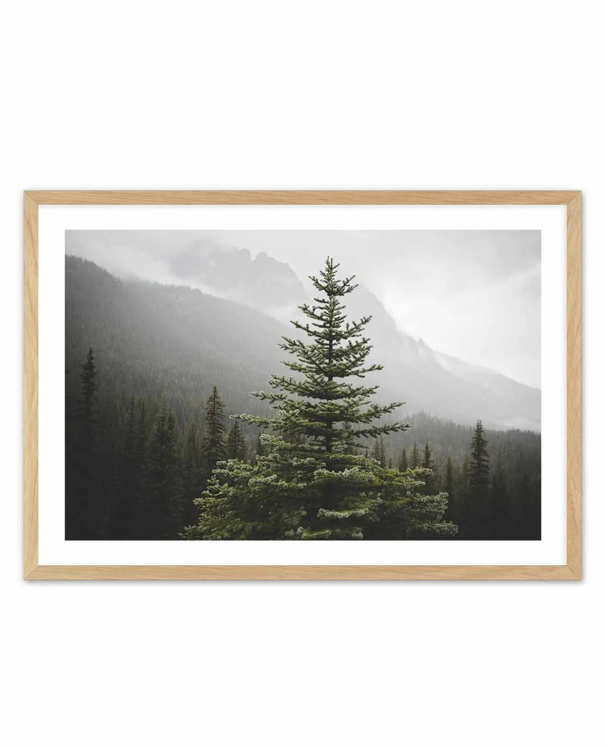 The Pine by Kalen X | Art Print from Olive et Oriel where you can shop wallpaper and artworks online