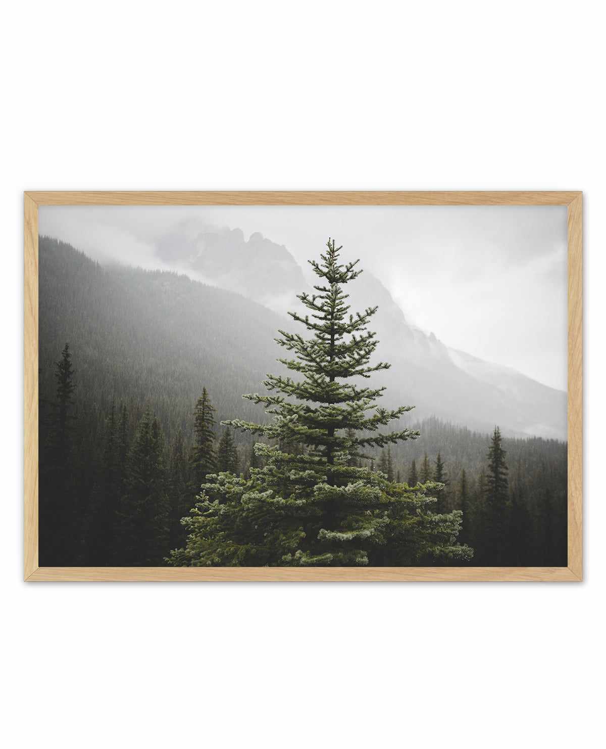 The Pine by Kalen X | Art Print