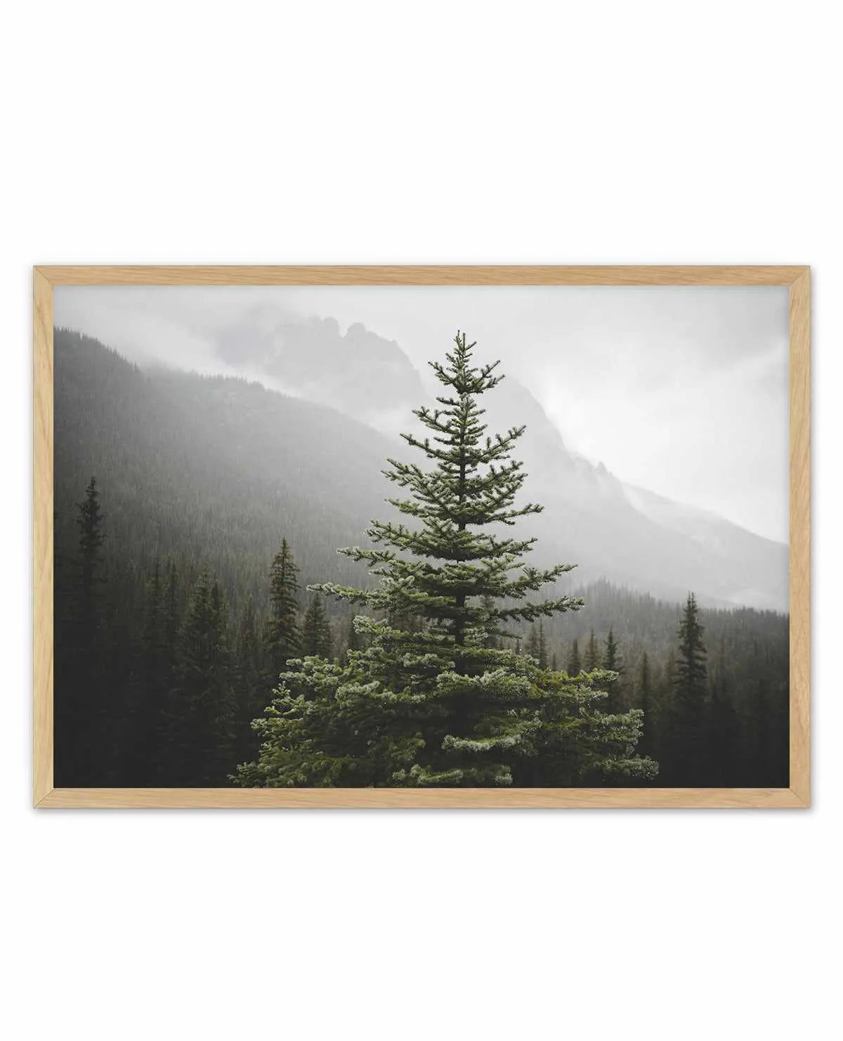 The Pine by Kalen X | Art Print from Olive et Oriel where you can shop wallpaper and artworks online