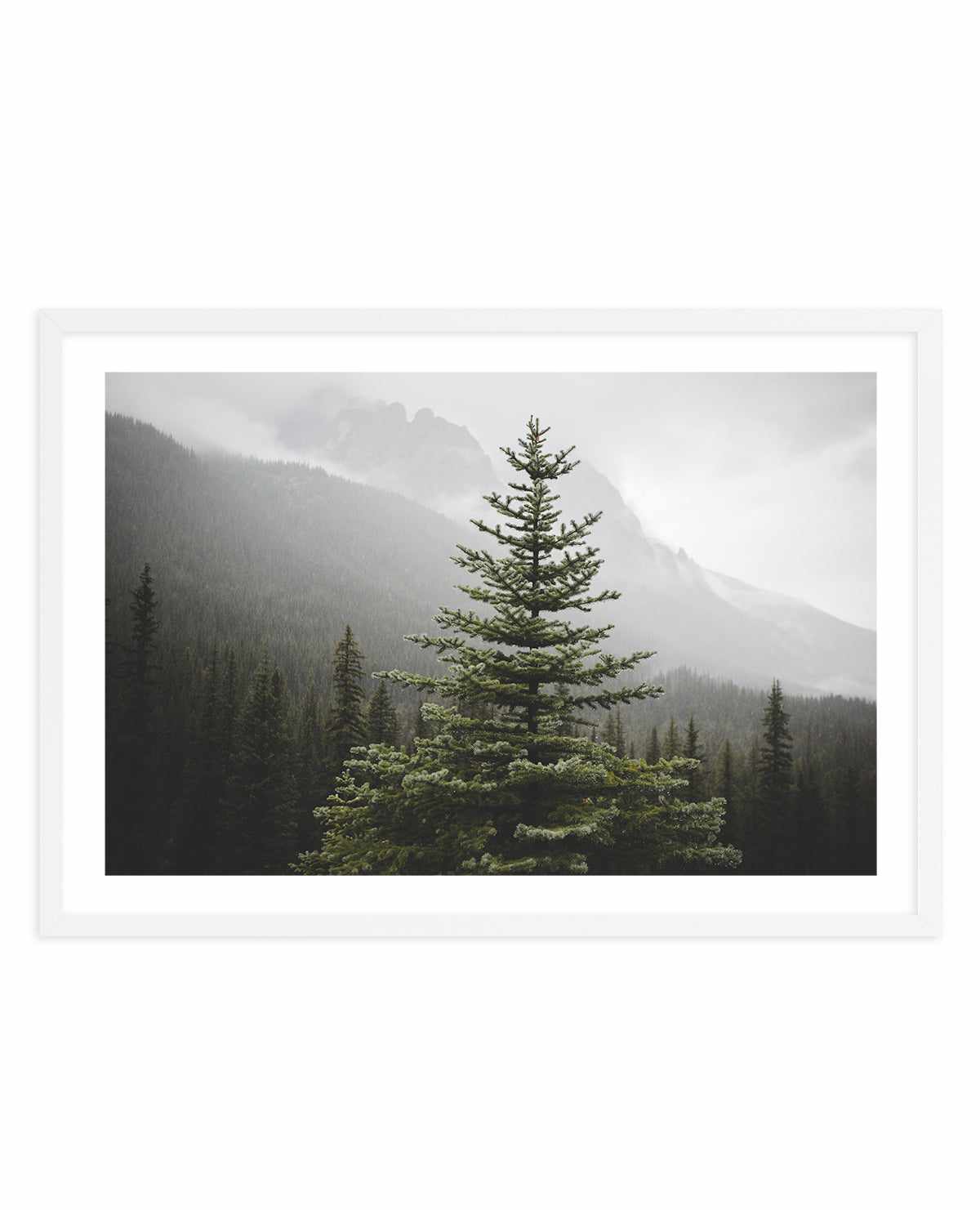 The Pine by Kalen X | Art Print