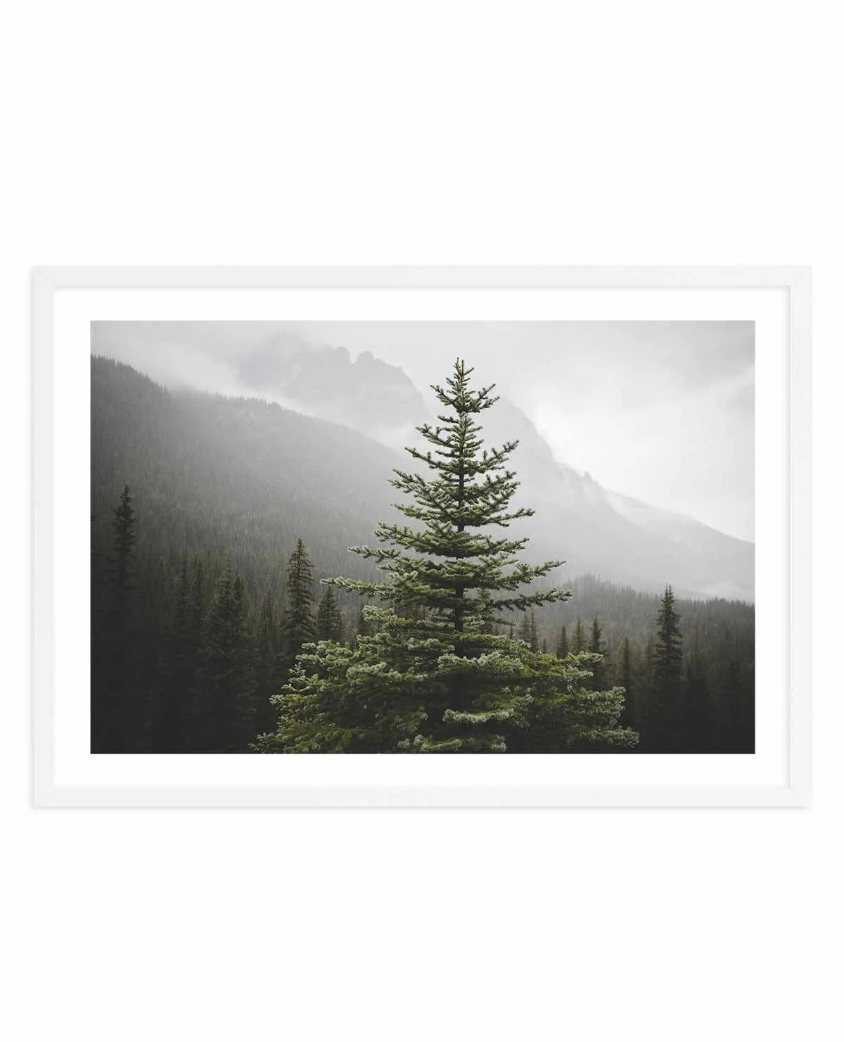 The Pine by Kalen X | Art Print from Olive et Oriel where you can shop wallpaper and artworks online
