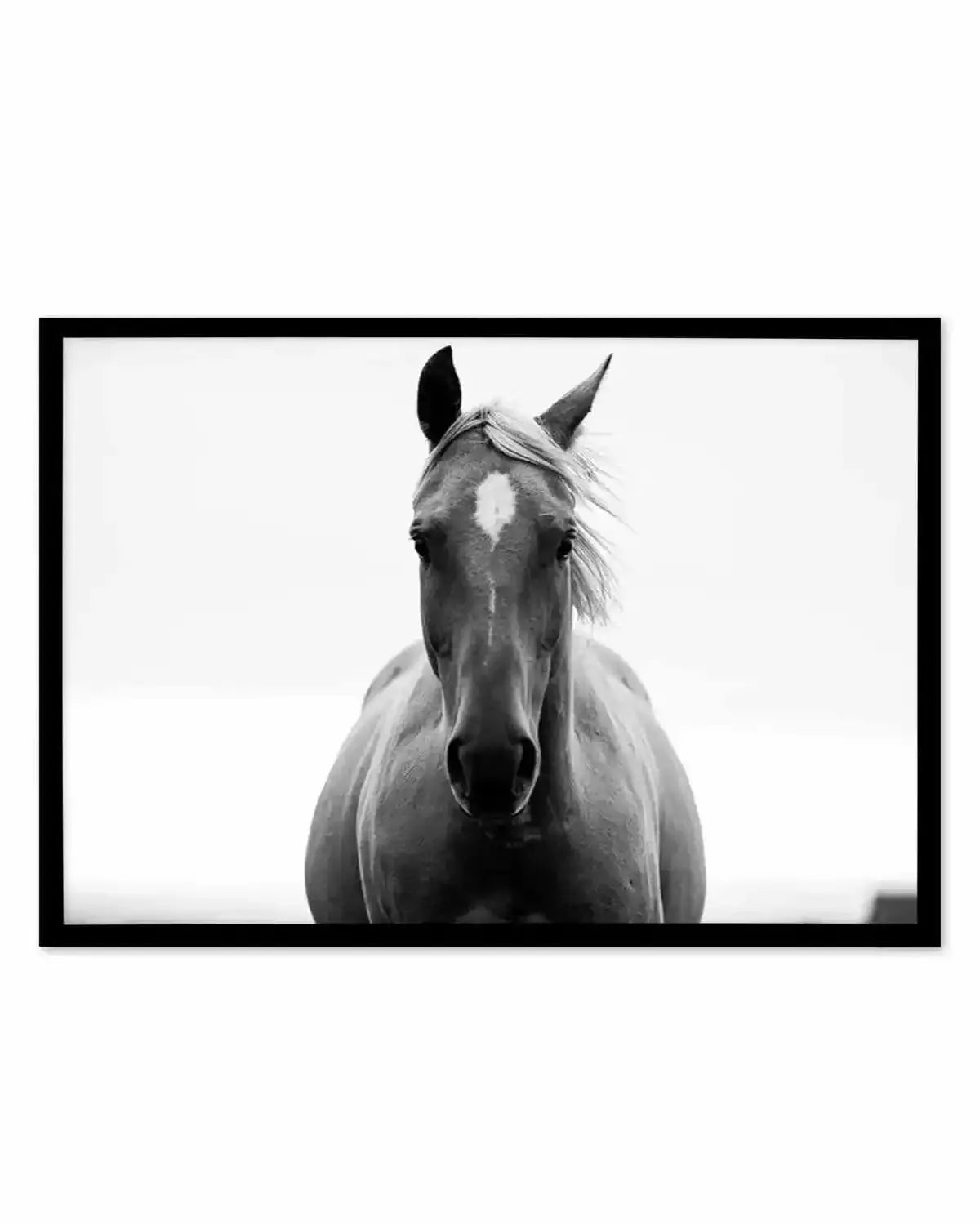 The Stare Art Print from Olive et Oriel where you can shop wallpaper and artworks online