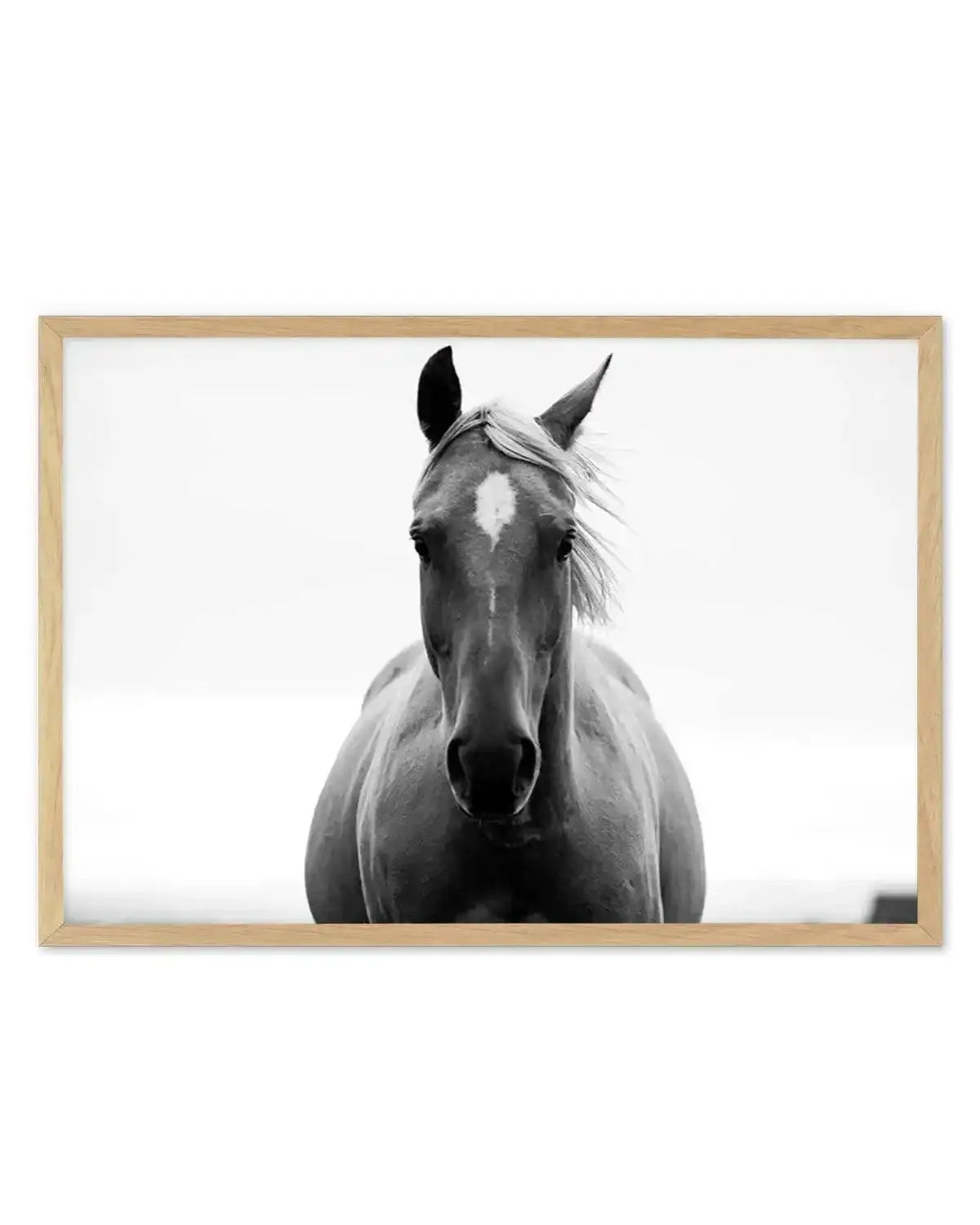 The Stare Art Print from Olive et Oriel where you can shop wallpaper and artworks online