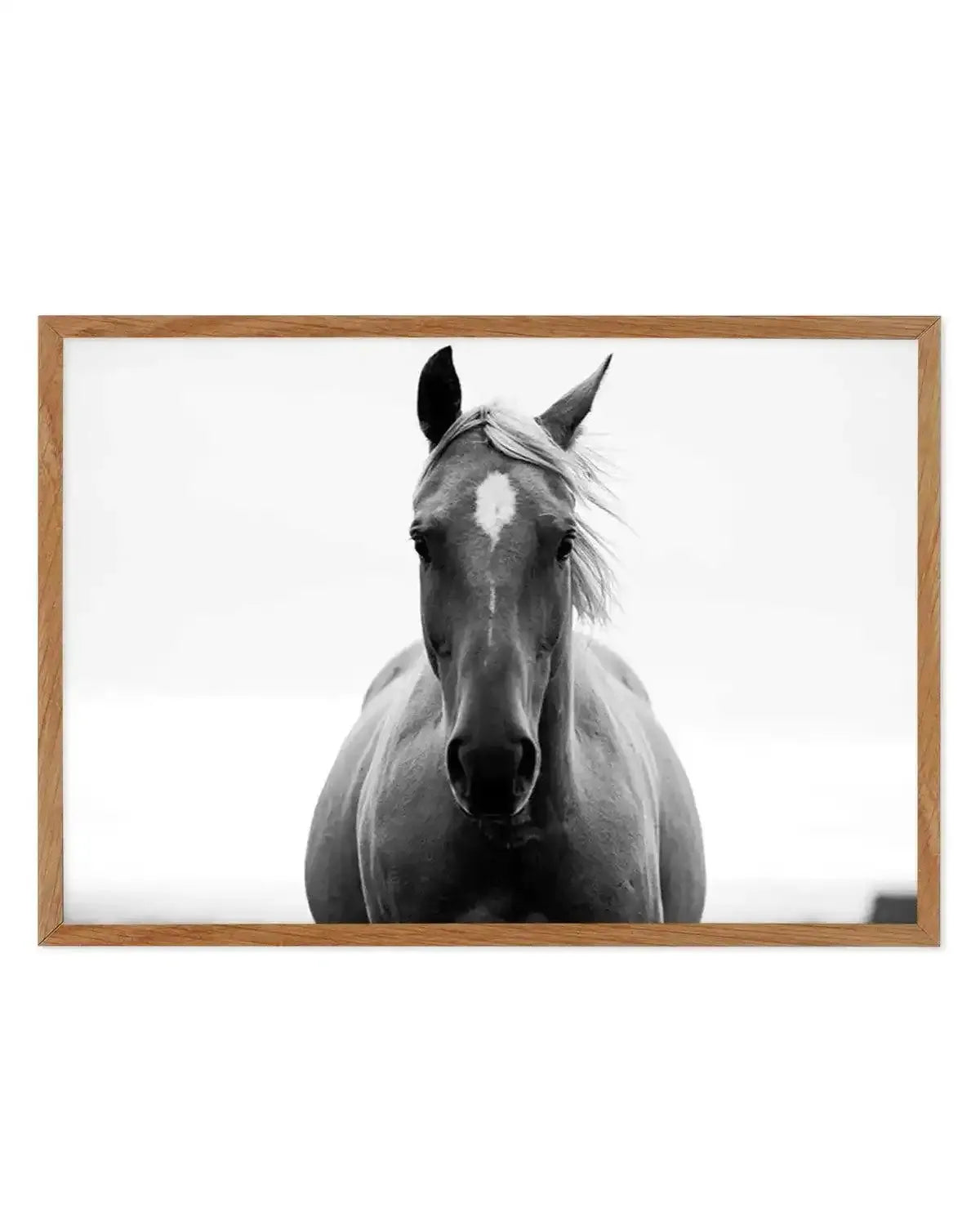 The Stare Art Print from Olive et Oriel where you can shop wallpaper and artworks online