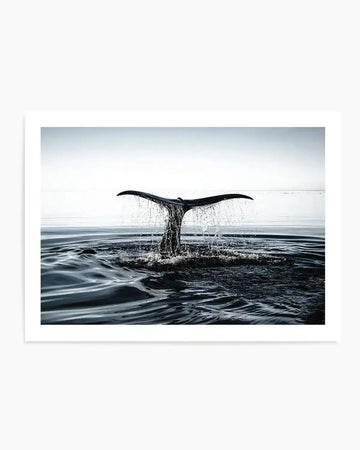 A framed art print featuring a dramatic black and white photograph of a whale's tail emerging from calm ocean water. Water droplets cascade from the flukes as the whale dives beneath the surface. The composition captures the tail centrally against a minimalist seascape with a pale grey-white sky meeting still, dark grey-blue water. The photograph has crisp detail and high contrast, mounted in a white frame with white border.
