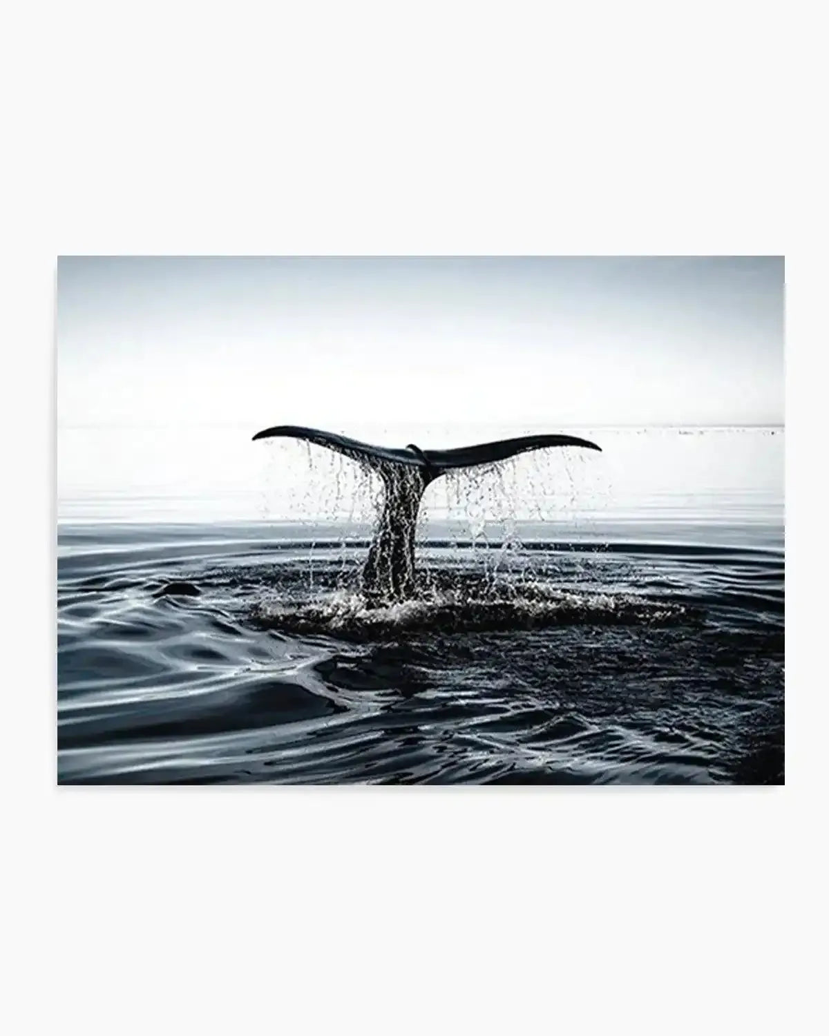 The Tail Art Print from Olive et Oriel where you can shop wallpaper and artworks online