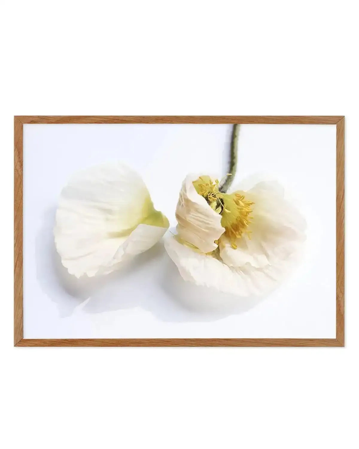 The White Poppy Art Print from Olive et Oriel where you can shop wallpaper and artworks online