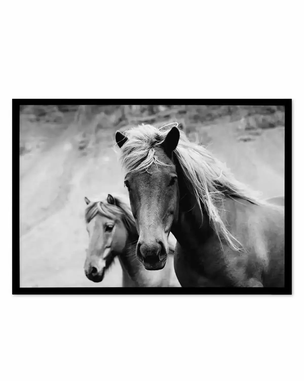 The Wild Ones Art Print from Olive et Oriel where you can shop wallpaper and artworks online