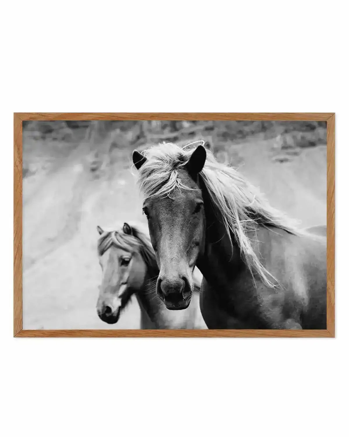 The Wild Ones Art Print from Olive et Oriel where you can shop wallpaper and artworks online