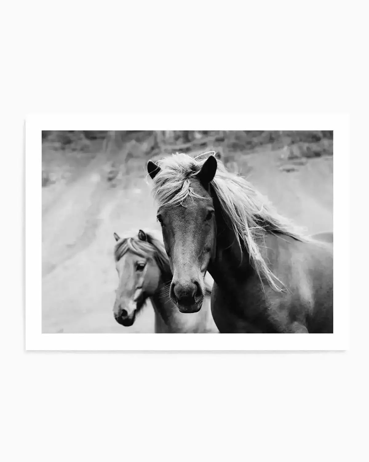 The Wild Ones Art Print from Olive et Oriel where you can shop wallpaper and artworks online