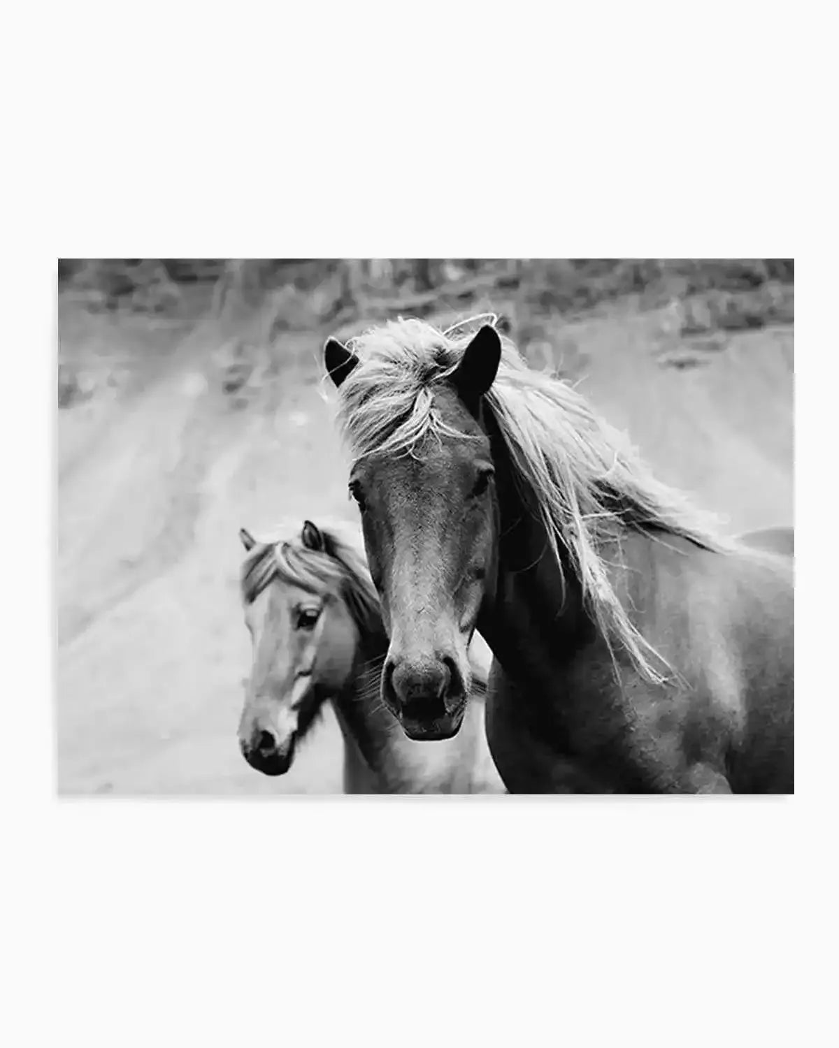 The Wild Ones Art Print from Olive et Oriel where you can shop wallpaper and artworks online