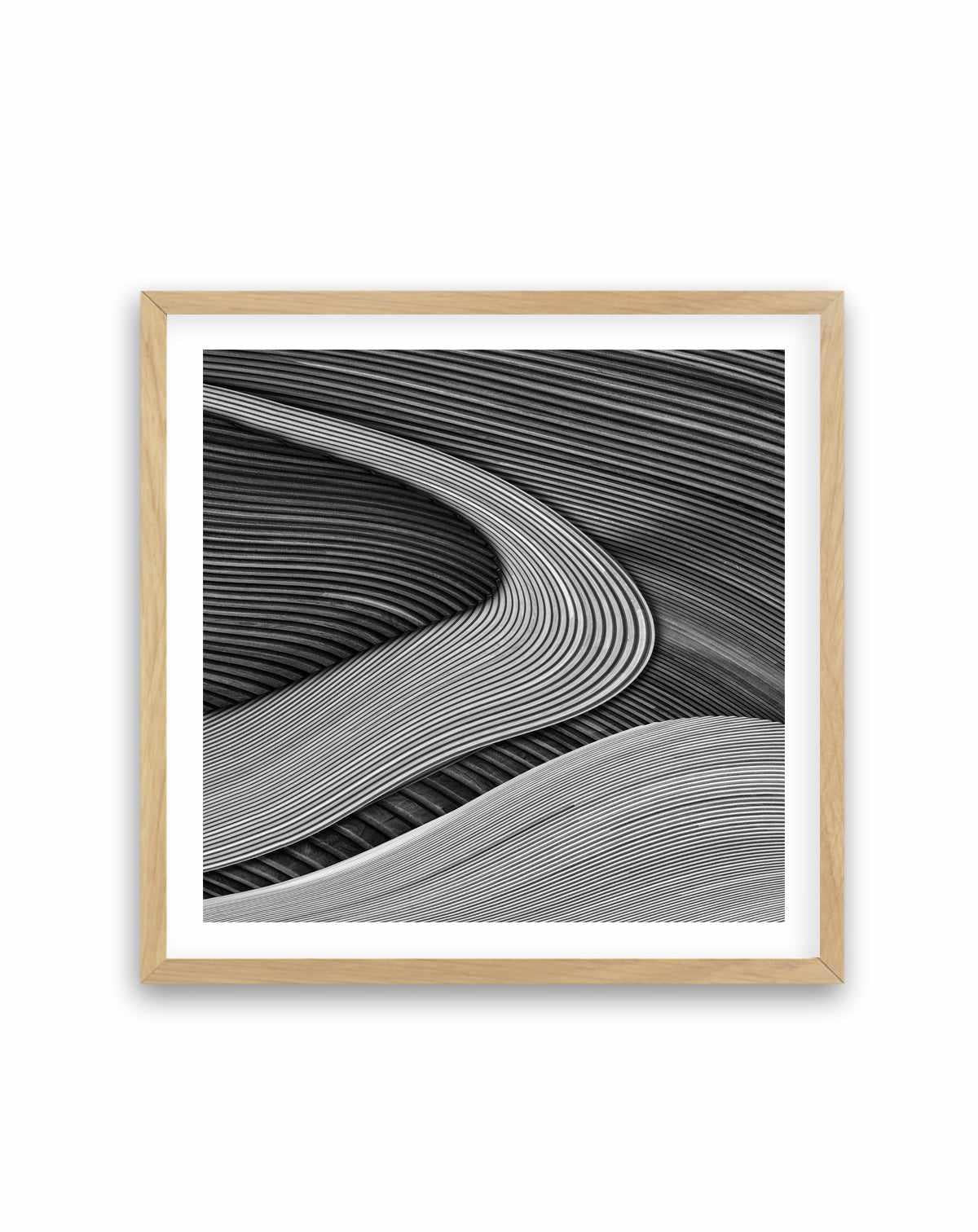 The Wood Project III - Zen Garden | Art Print from Olive et Oriel where you can shop wallpaper and artworks online