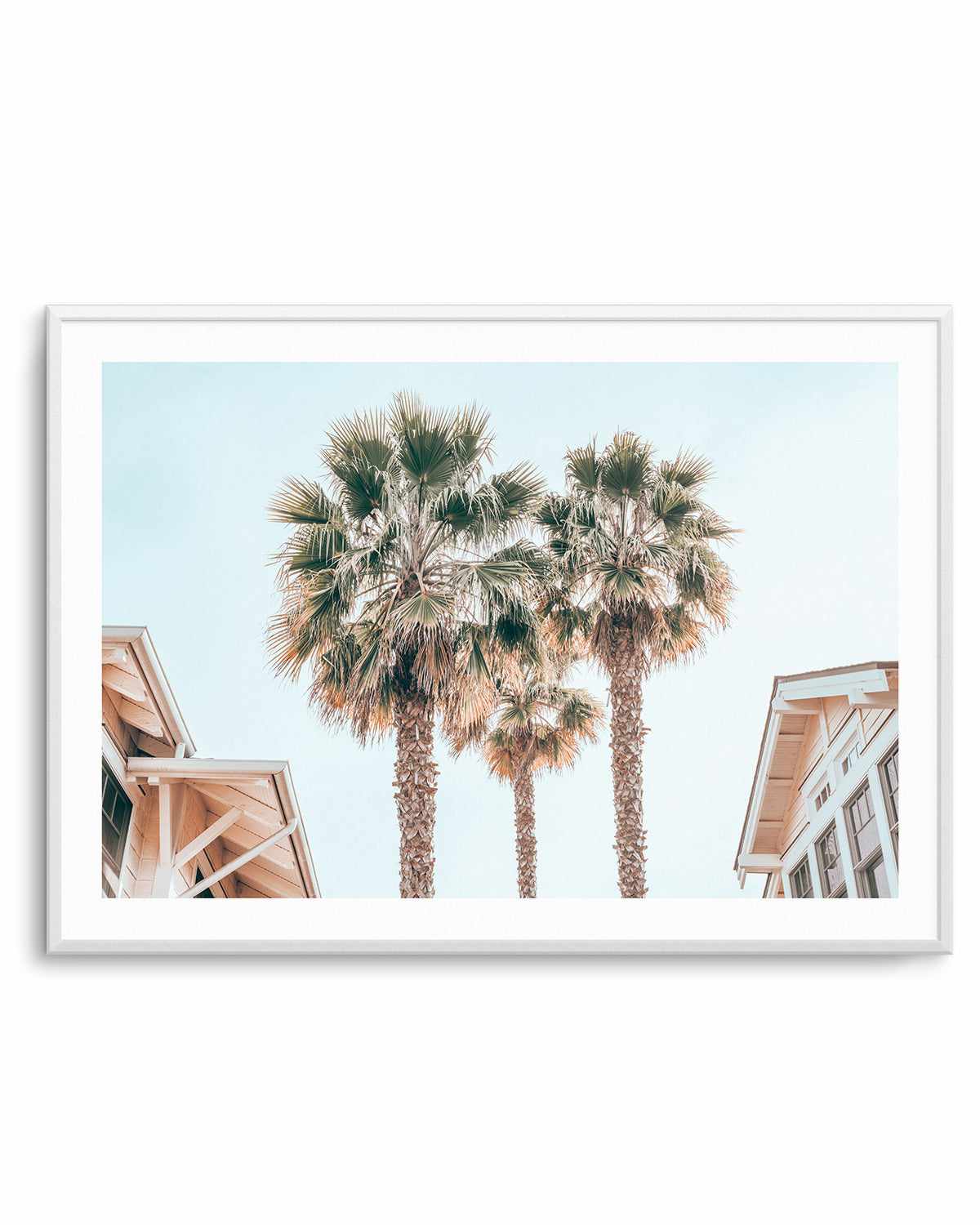 Three Palms, Palm Springs Art Print