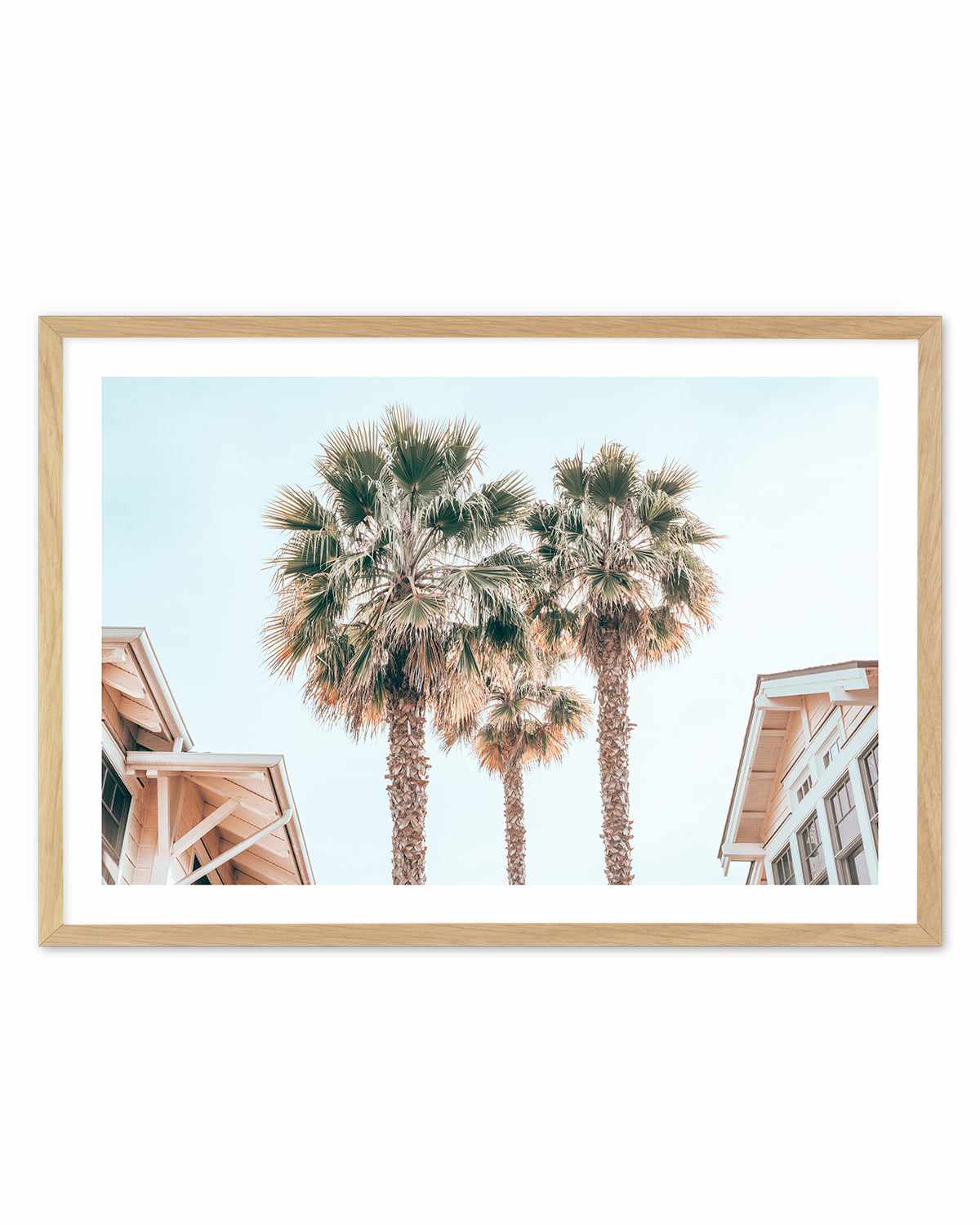 Three Palms, Palm Springs Art Print