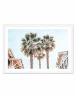 Three Palms, Palm Springs Art Print