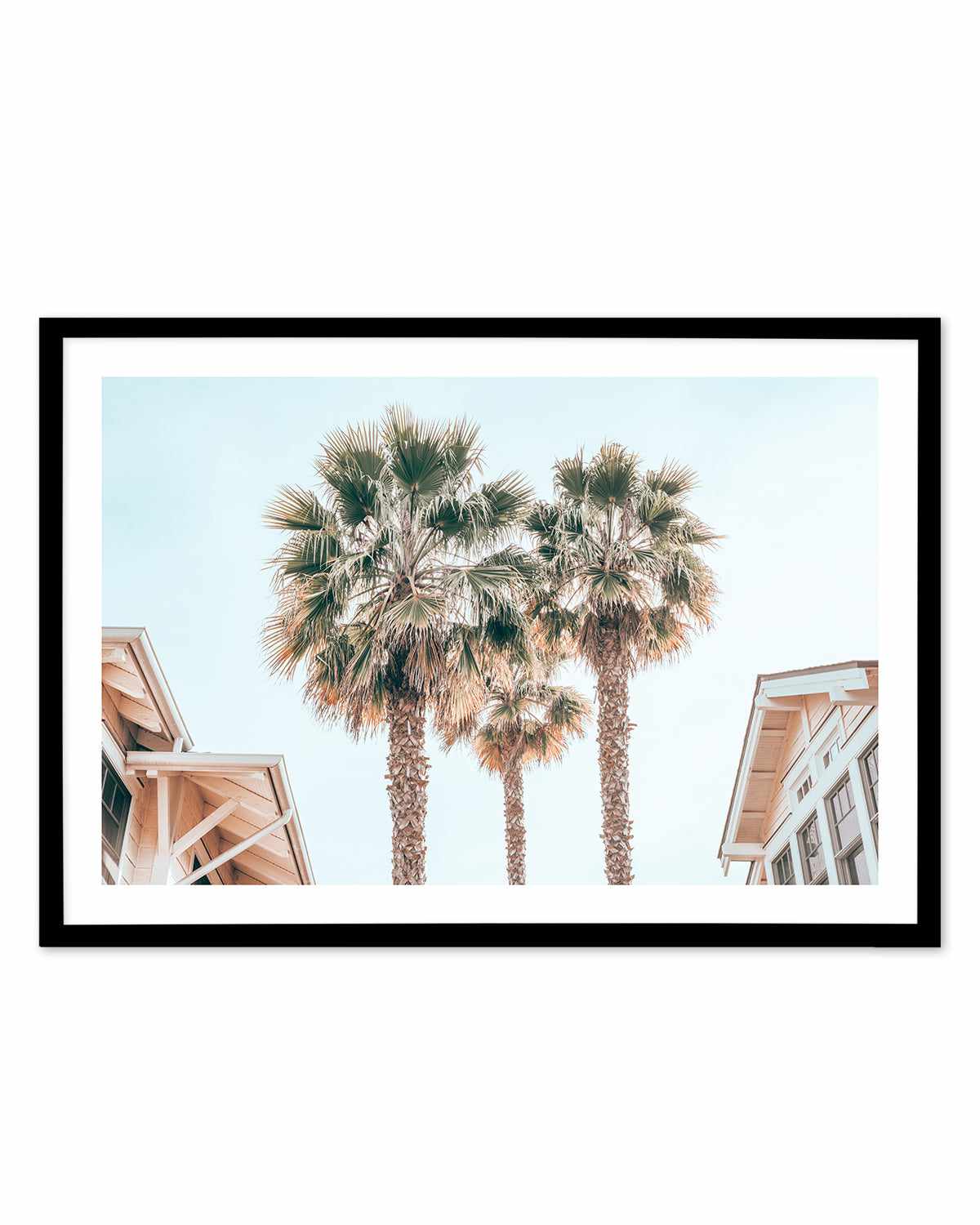 Three Palms, Palm Springs Art Print