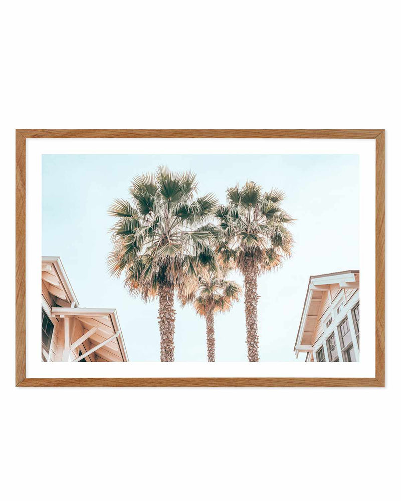 Three Palms, Palm Springs Art Print