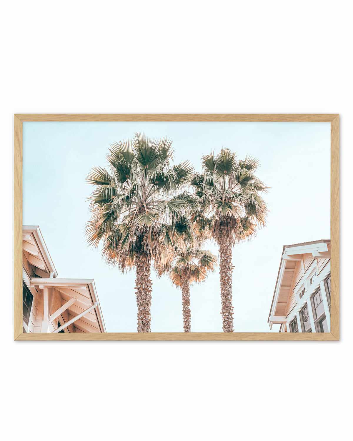 Three Palms, Palm Springs Art Print