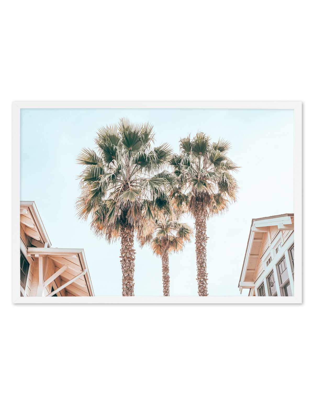 Three Palms, Palm Springs Art Print