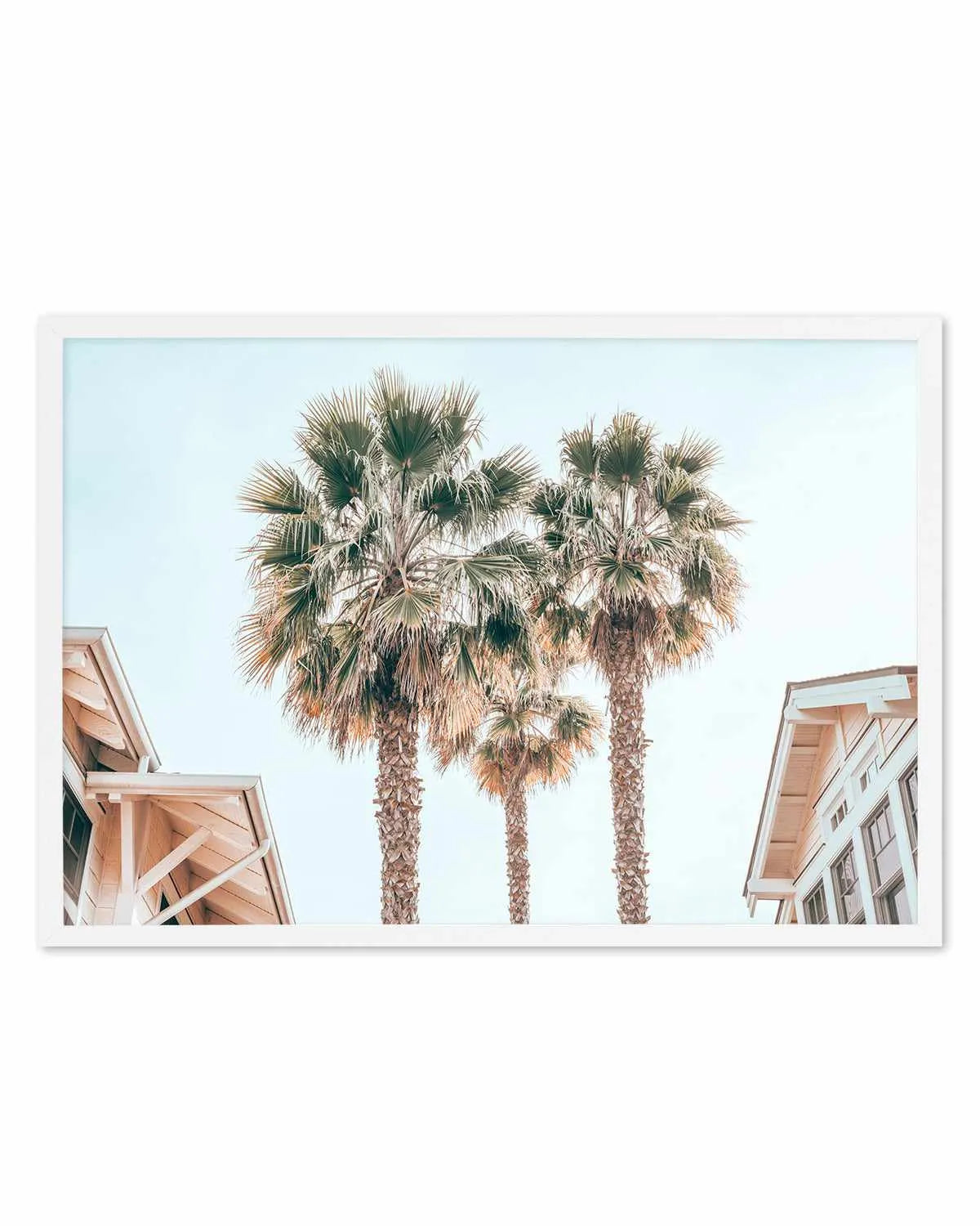 Three Palms, Palm Springs Art Print from Olive et Oriel where you can shop wallpaper and artworks online