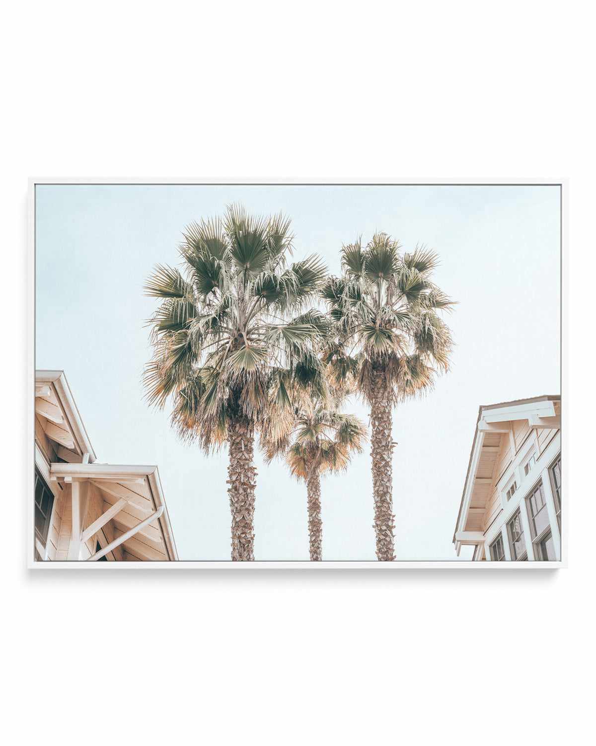 Three Palms, Palm Springs | Framed Canvas Art Print