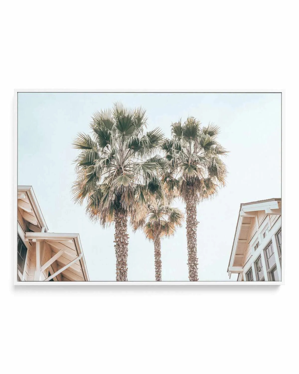 Three Palms, Palm Springs | Framed Canvas Art Print from Olive et Oriel where you can shop wallpaper and artworks online