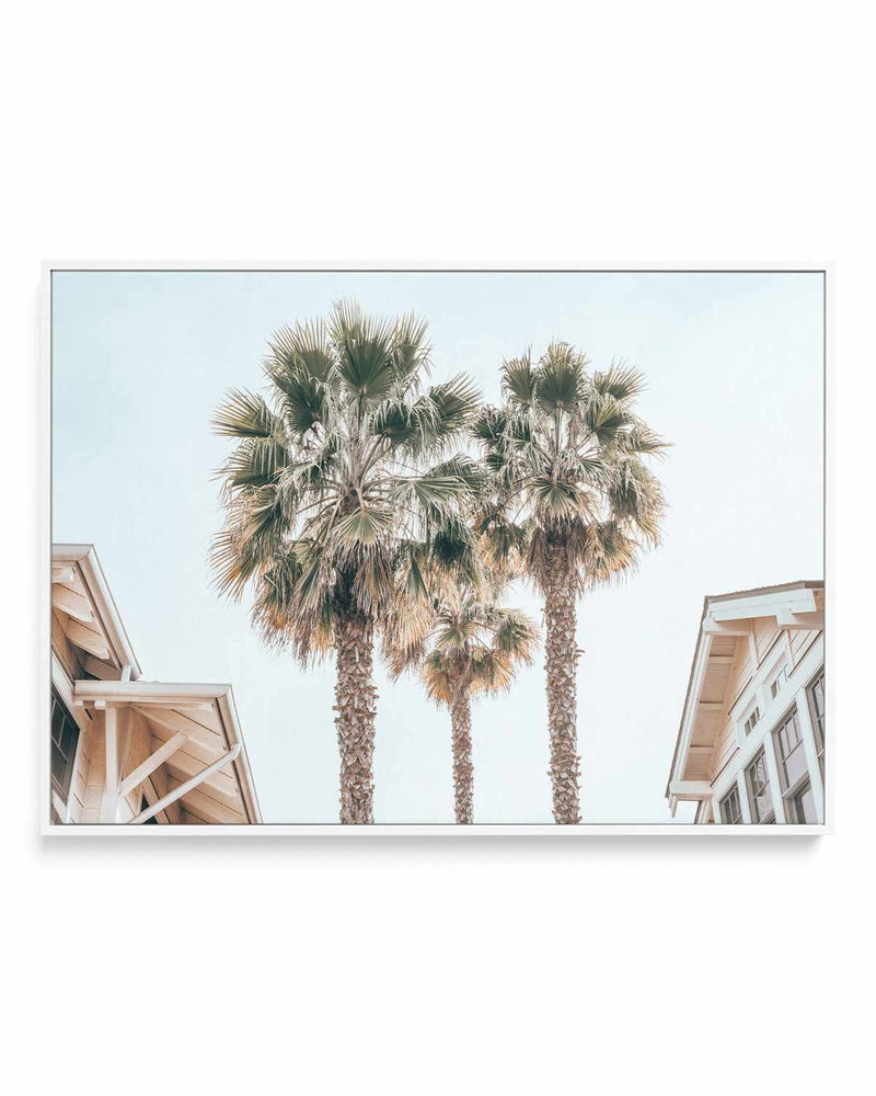 Three Palms, Palm Springs | Framed Canvas Art Print