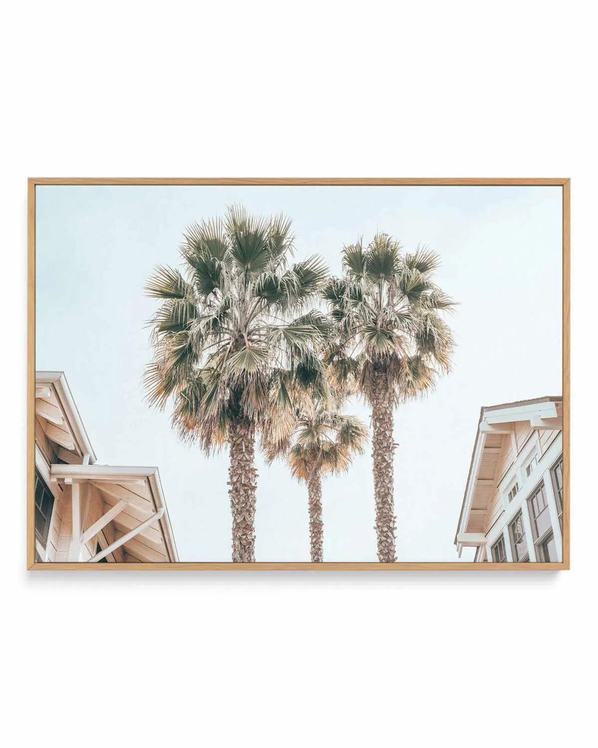 Three Palms, Palm Springs | Framed Canvas Art Print from Olive et Oriel where you can shop wallpaper and artworks online