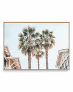 Three Palms, Palm Springs | Framed Canvas Art Print