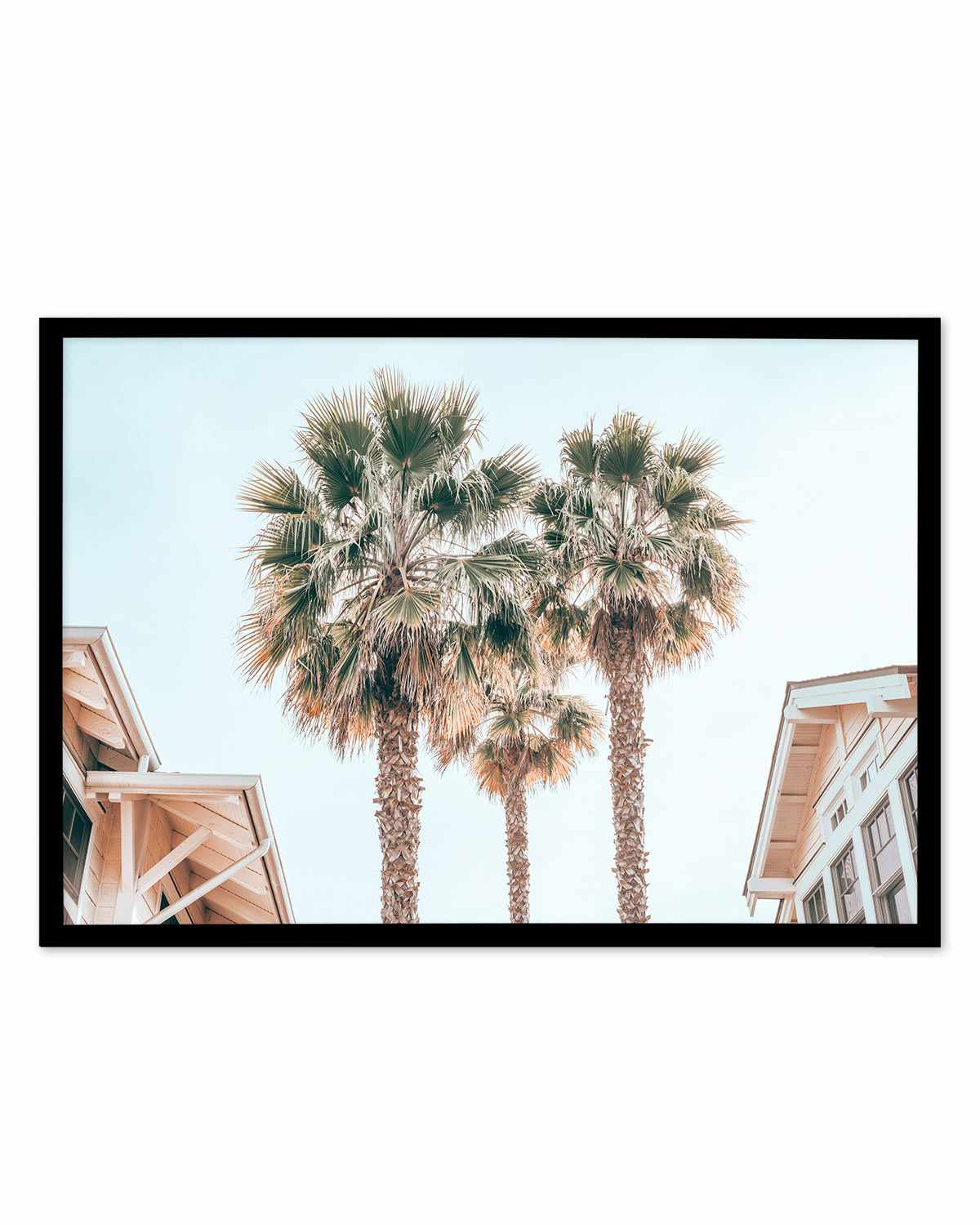 Three Palms, Palm Springs Art Print