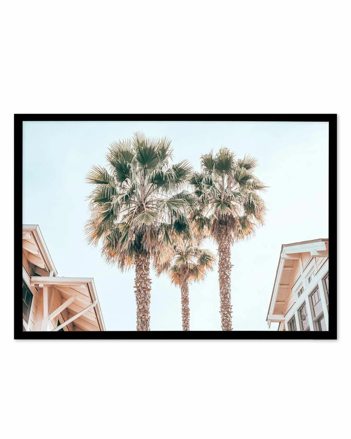 Three Palms, Palm Springs Art Print from Olive et Oriel where you can shop wallpaper and artworks online