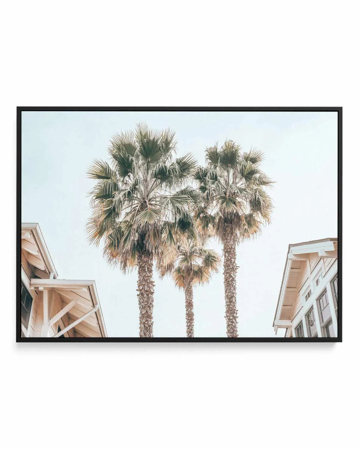 Three Palms, Palm Springs | Framed Canvas Art Print from Olive et Oriel where you can shop wallpaper and artworks online