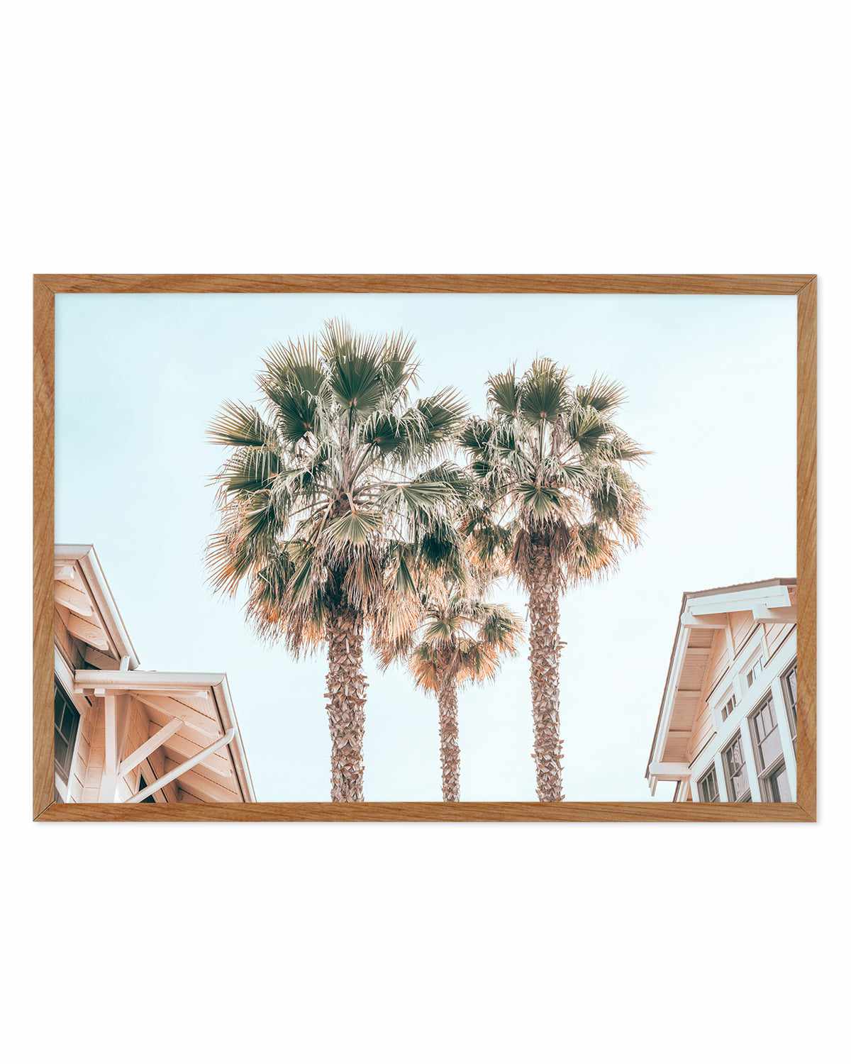 Three Palms, Palm Springs Art Print