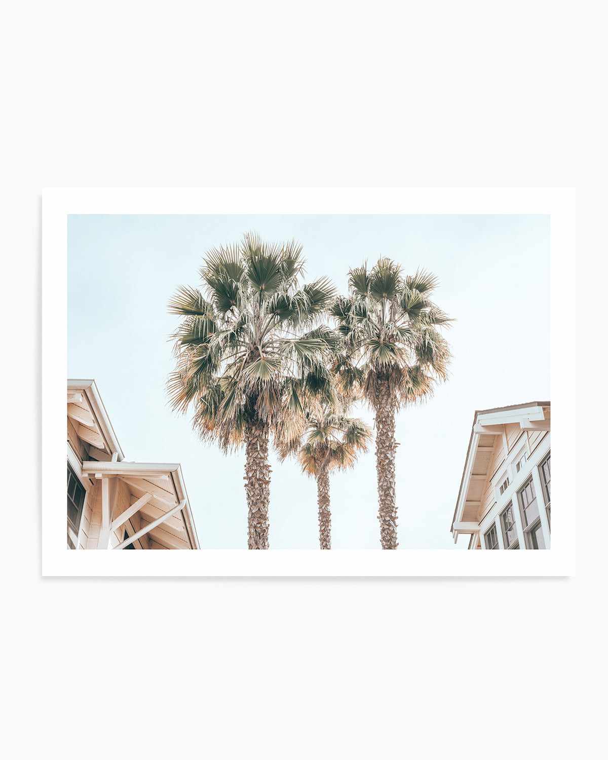 Three Palms, Palm Springs Art Print