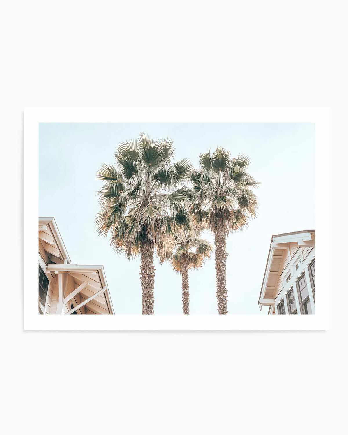 Three Palms, Palm Springs Art Print from Olive et Oriel where you can shop wallpaper and artworks online