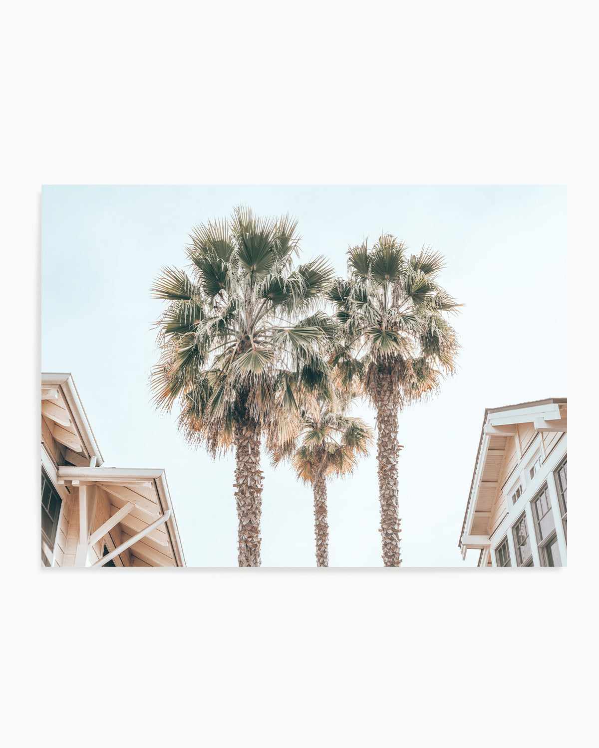 Three Palms, Palm Springs Art Print