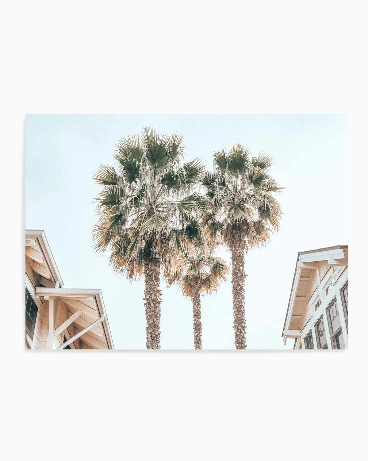 Three Palms, Palm Springs Art Print from Olive et Oriel where you can shop wallpaper and artworks online