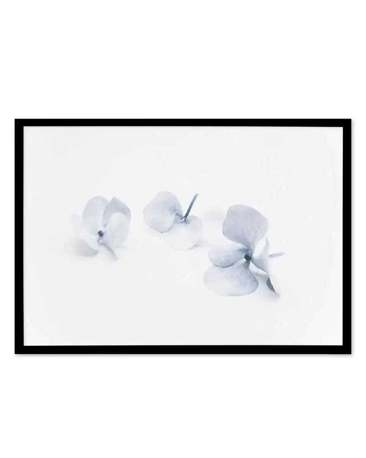 Three in Blue | Hydrangea III Art Print from Olive et Oriel where you can shop wallpaper and artworks online