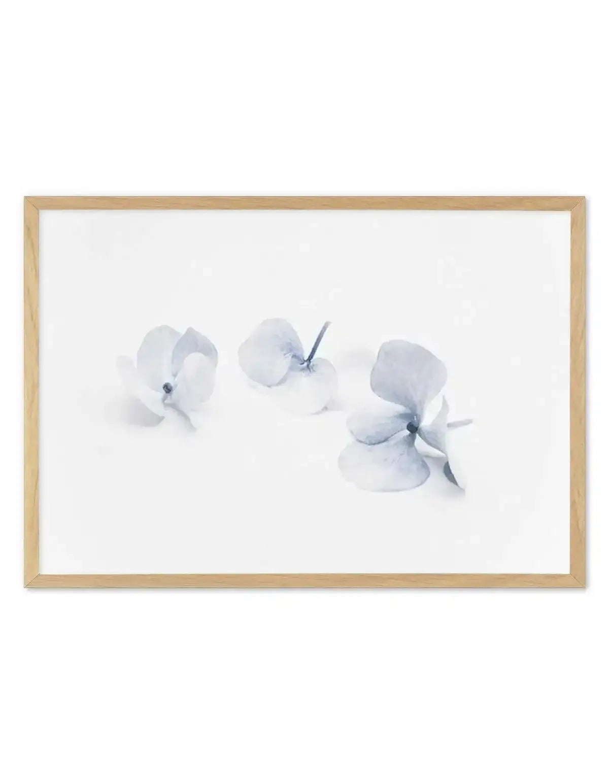 Three in Blue | Hydrangea III Art Print from Olive et Oriel where you can shop wallpaper and artworks online