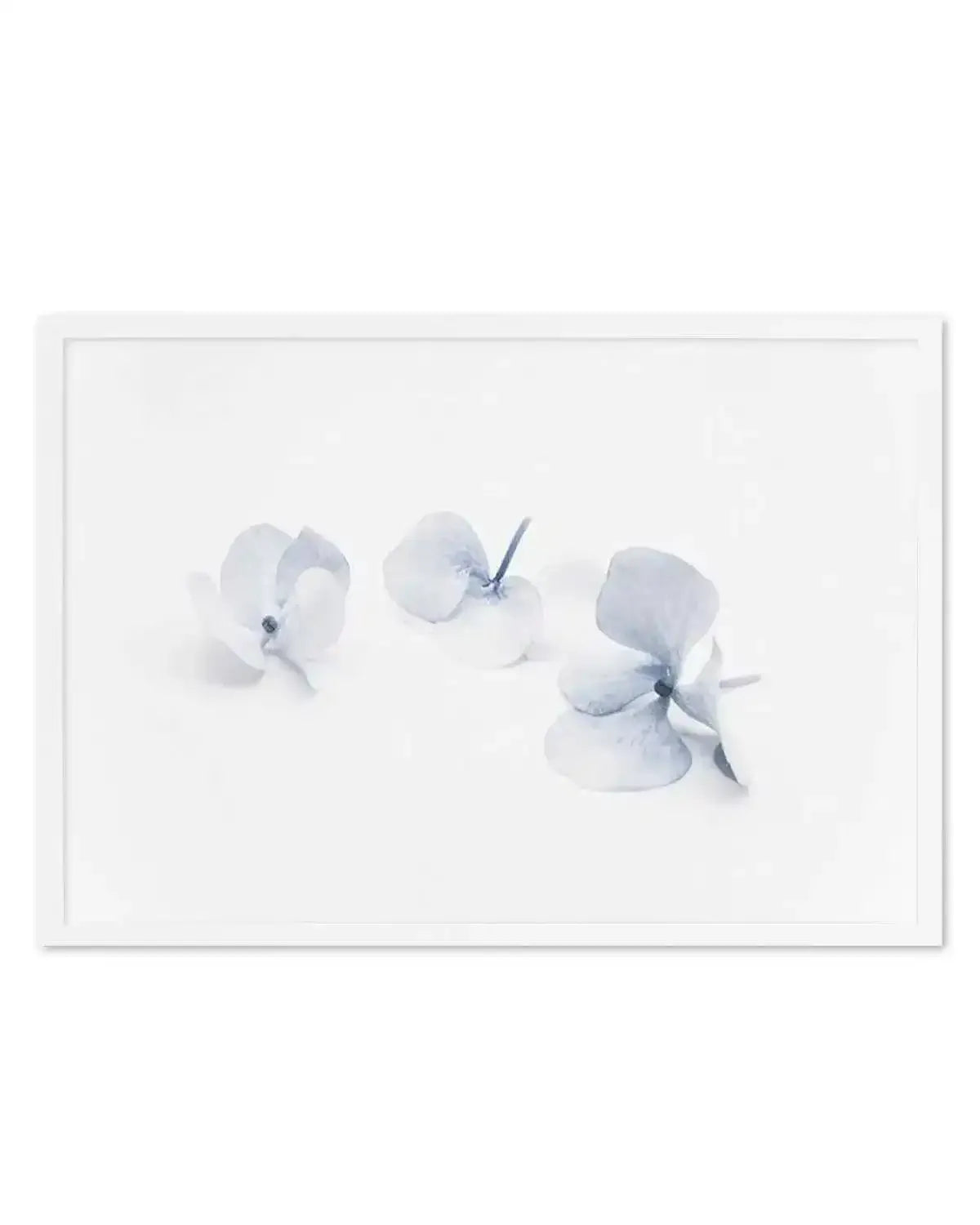 Three in Blue | Hydrangea III Art Print from Olive et Oriel where you can shop wallpaper and artworks online