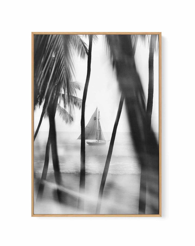 Through the Palms | Framed Canvas Art Print